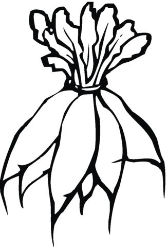 One Banch Of Radish Coloring Page